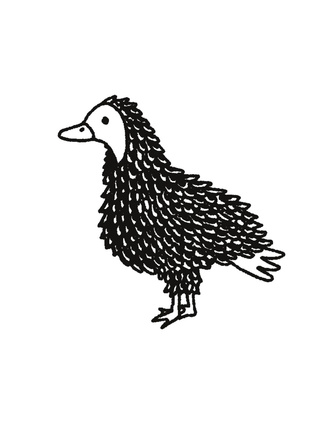 Monito Pato